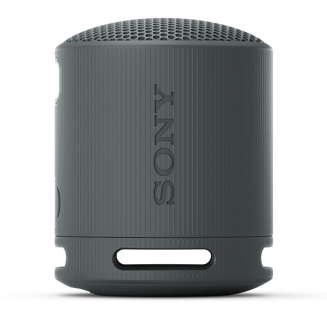 SONY SRS-XB100